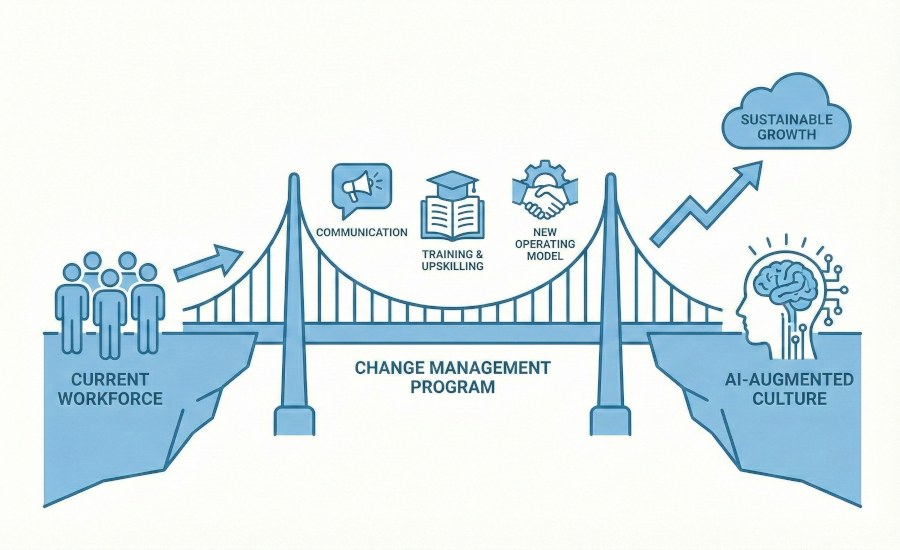 Adoption-Cultural-Transformation-impesud